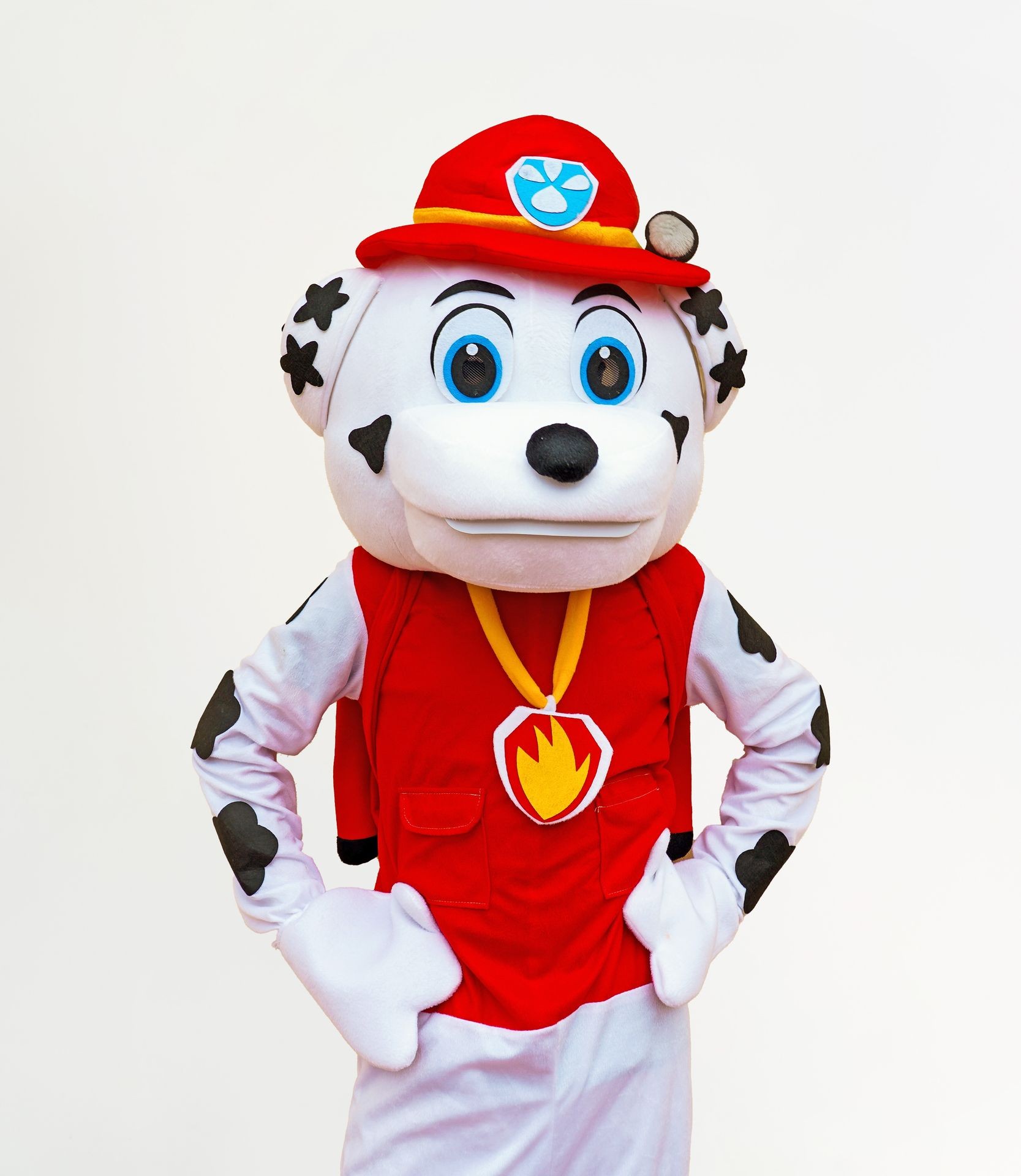 Marshall (Paw Patrol)