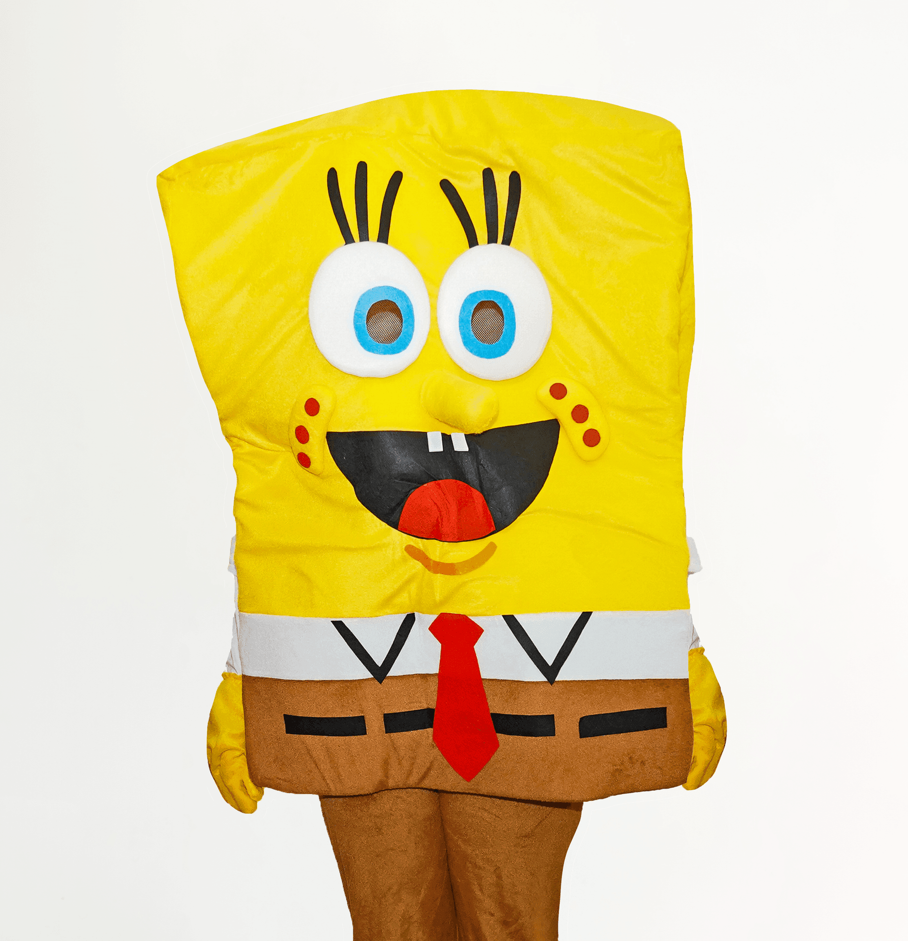 spongebob party entertainer