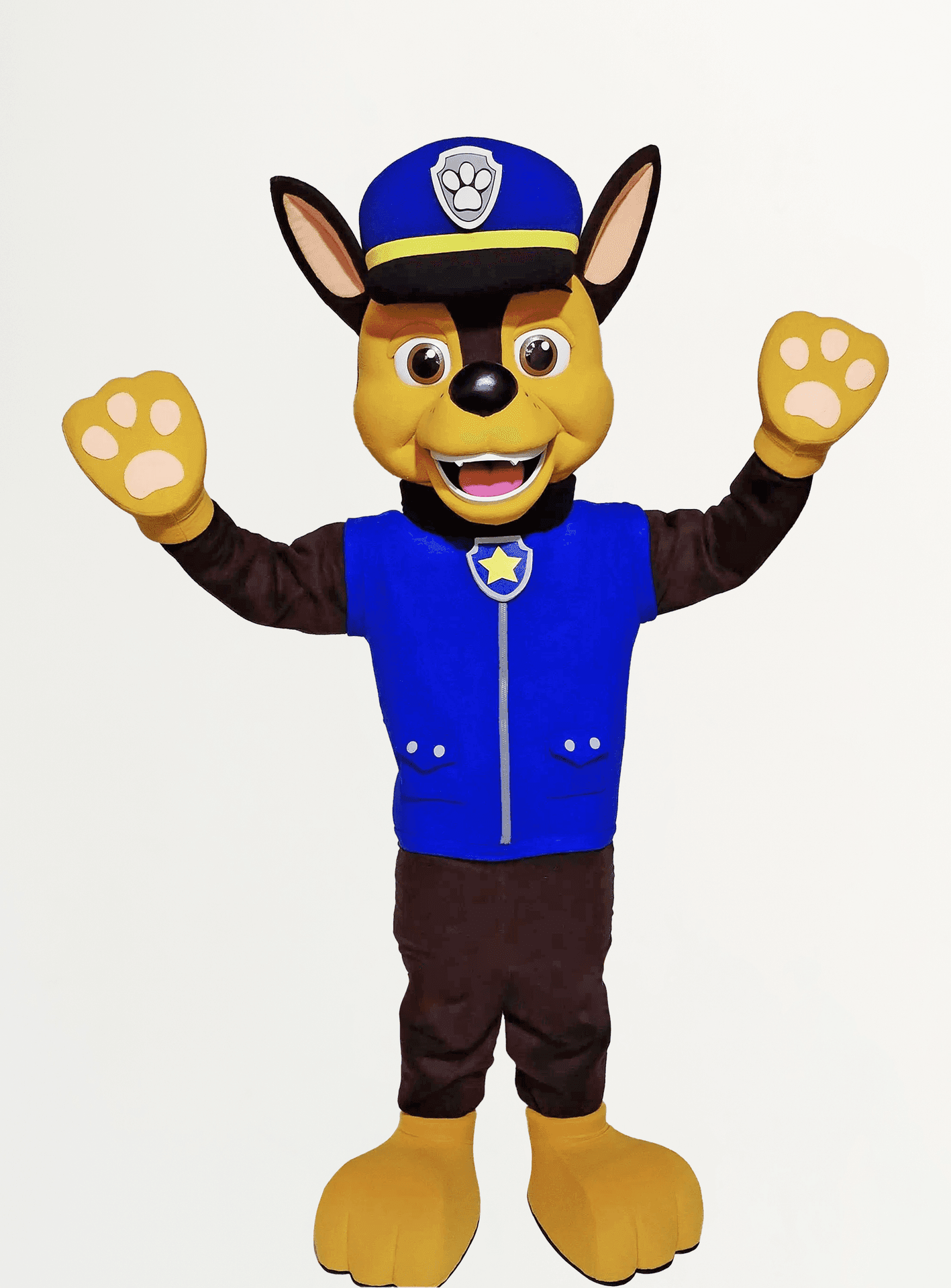 Chase paw patrol Adelaide bluey