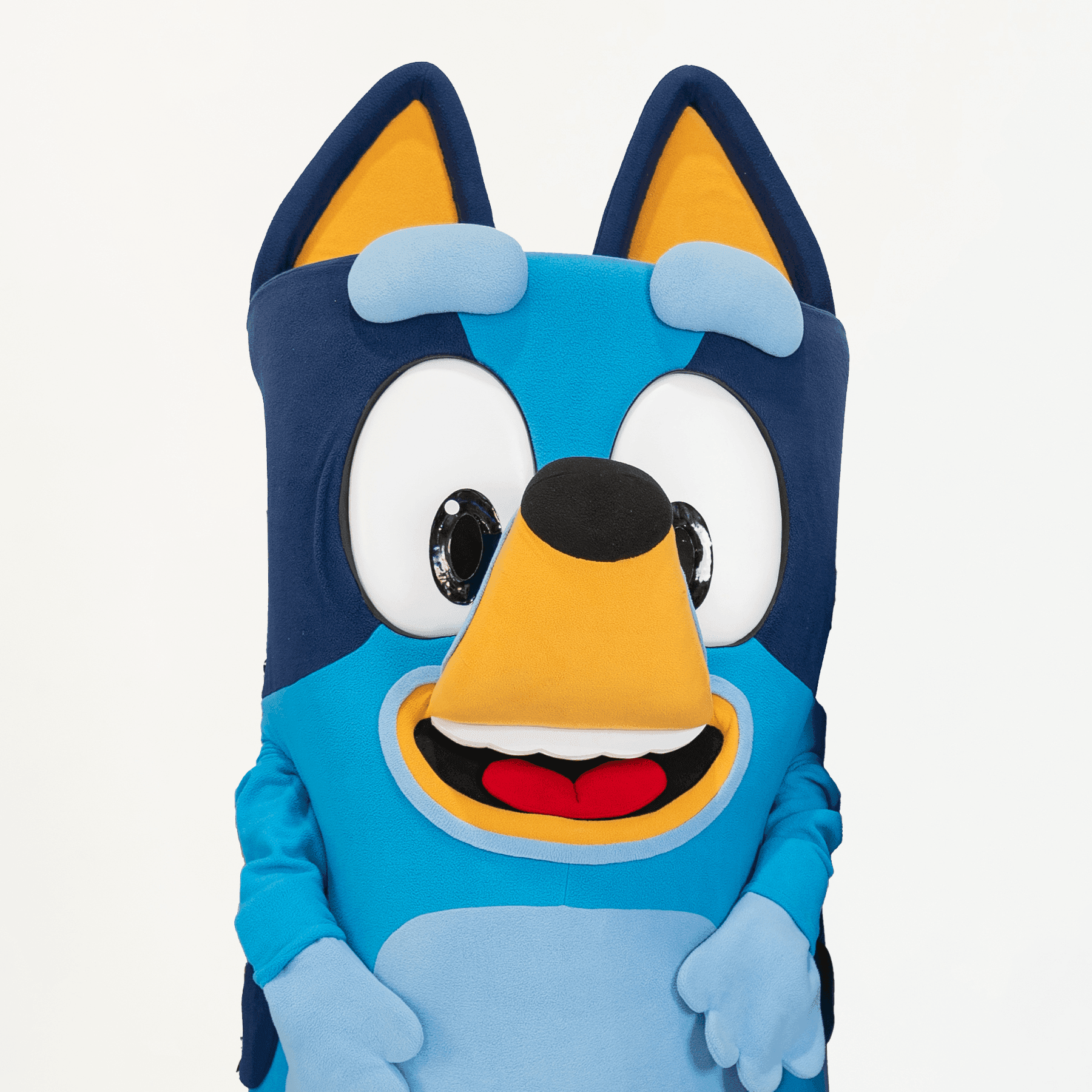 Book Bluey for kids party entertainment mascot hire