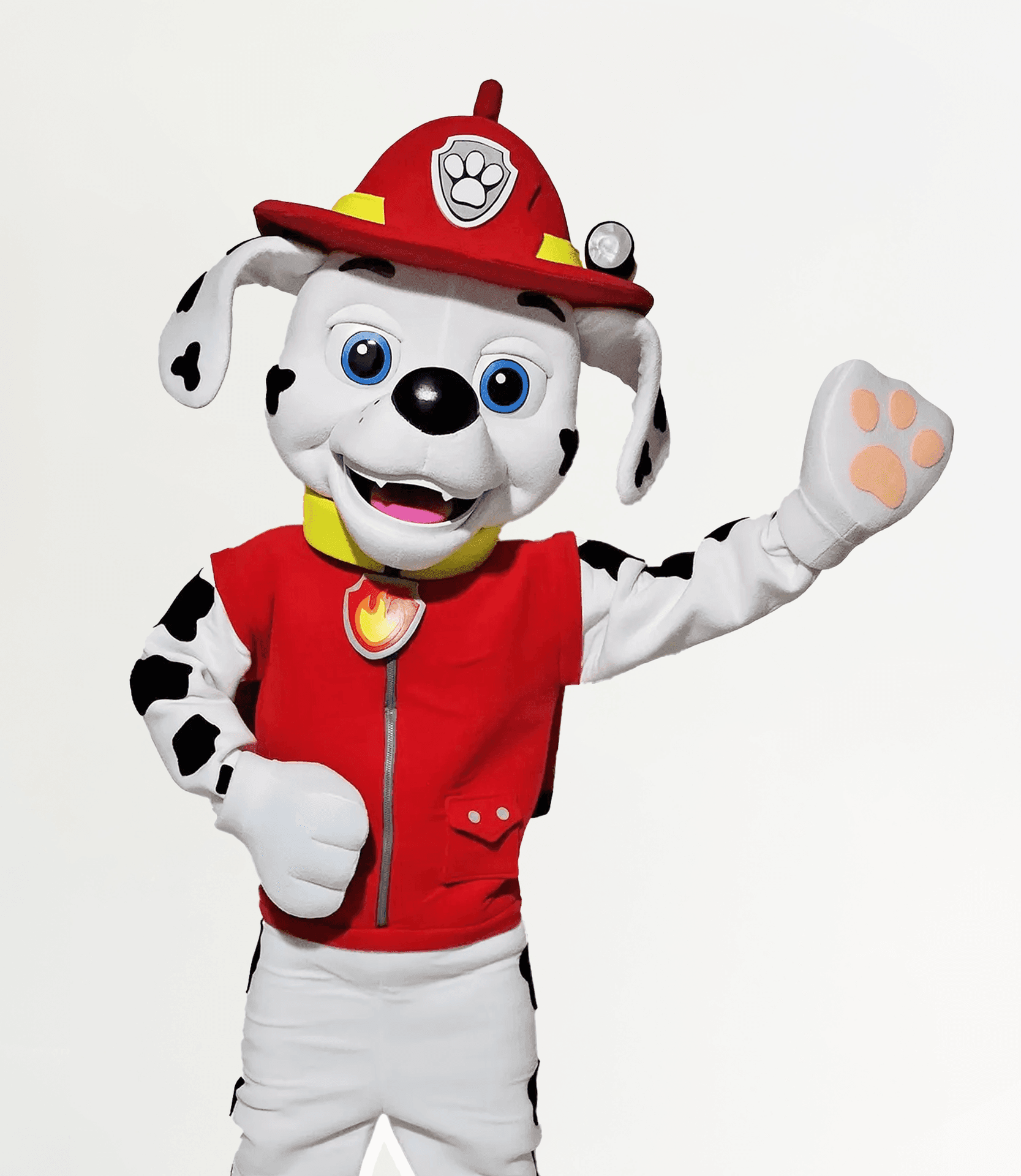 Marshall (Paw Patrol)